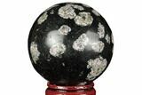 Polished Snowflake Stone Sphere - Pakistan #187516-1